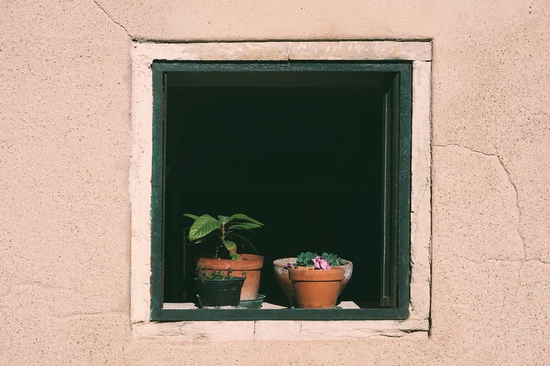 Investing insights